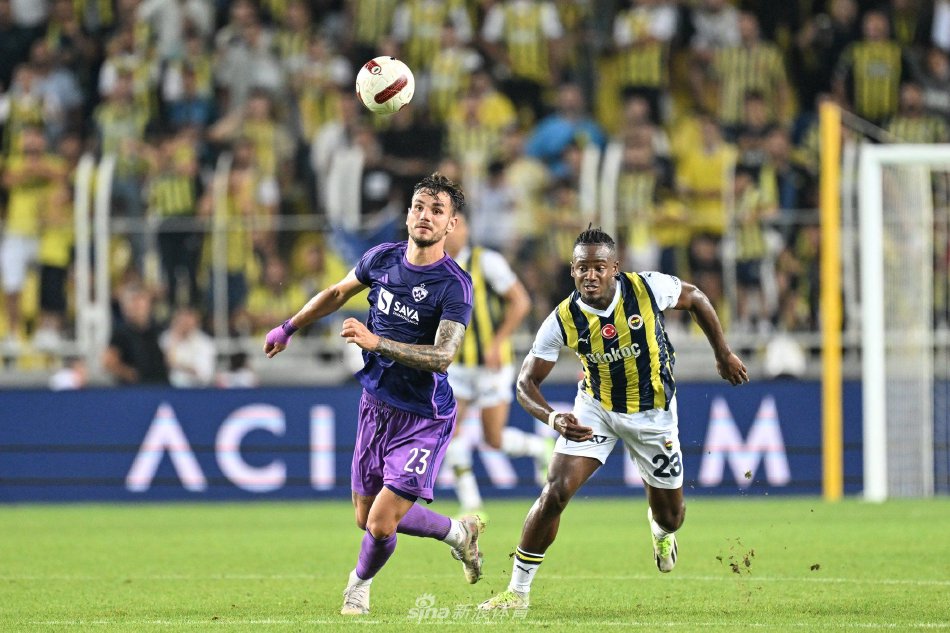 多样性选择 多样性选择